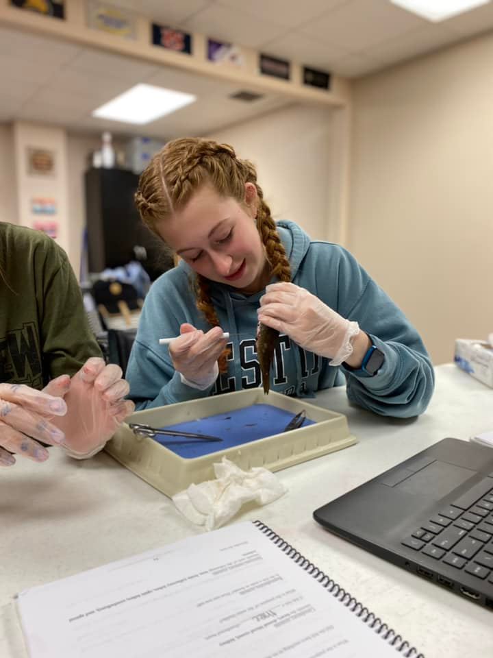 Students exploring hands-on science at Trinity
